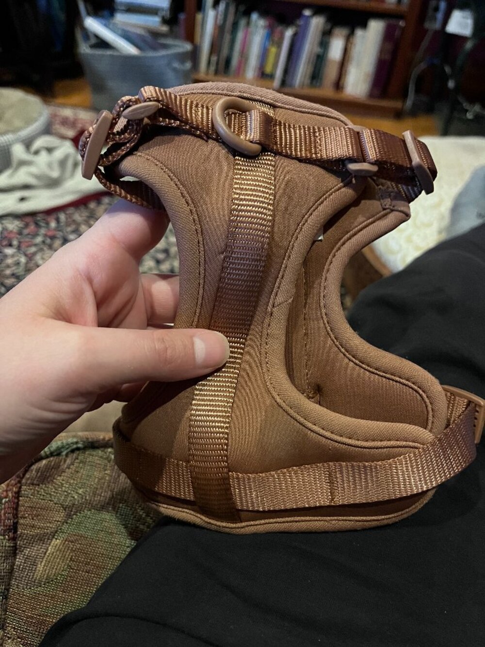 Wild One Cushioned Dog Harness